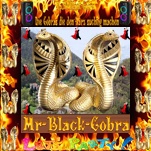 MrBlackCobra